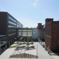 Goodyear World Headquarters